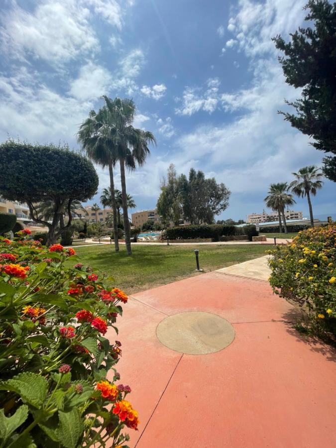 Direct Sea View & Quality Bed - Kings Palace 1 Bed Paphos Exteriör bild